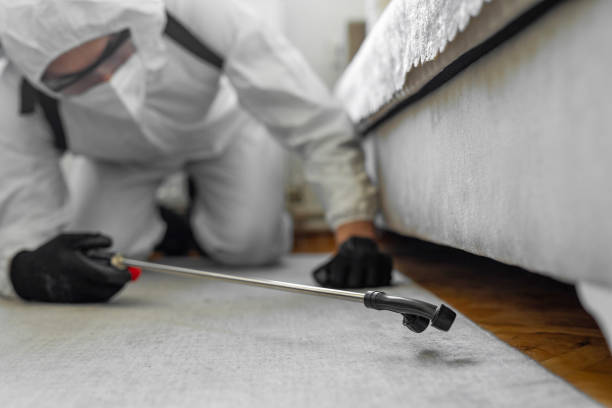 Professional Bed Bug Control technician working in Fernandina Beach, FL